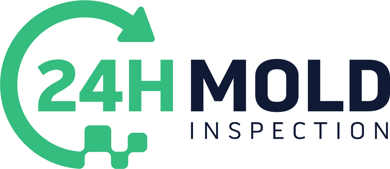 24H Mold Inspection Logo